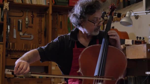 Maestro Violino Professionista Violino Con Proprie Mani Utilizza Abete Rosso — Video Stock