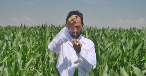 Uno Specialista Vegetale Controllando Soia Campo Mantello Bianco Effettua Analisi — Video Stock