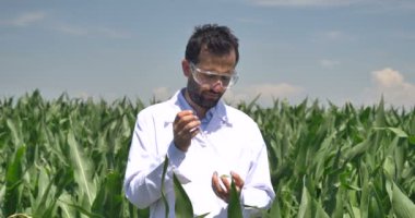 Bitki uzmanı alan soya, Beyaz önlük kontrol test analizi bir tablet, yeşil bir arka plan yapar. Kavram ekoloji, bio ürün, muayene, su, doğal ürünler, profesyonel