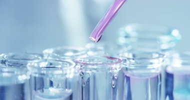 Bir laboratuarda, pipetli bir bilim adamı test tüplerindeki DNA ve molekülleri ayırmak için renkli bir sıvıyı analiz eder. Konsept: araştırma, biyokimya, doğa, ilaç