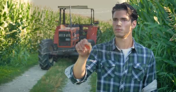 未来派青年农民 在田间工作 拖拉机 全息图控制天气 在衬衫 玉米地概念生态运输农民 天然产品 天气预报未来 — 图库视频影像