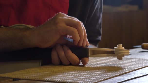 Professionele Viool Master Maakt Een Viool Met Zijn Eigen Handen — Stockvideo