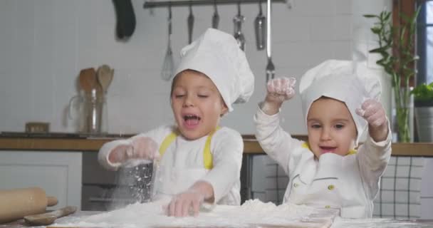台所の2人の小さな女の子は 家族のためのデザートを準備します 彼らは料理を学ぶと 彼らは小麦粉で遊び始め お互いに笑顔 料理教室 — ストック動画