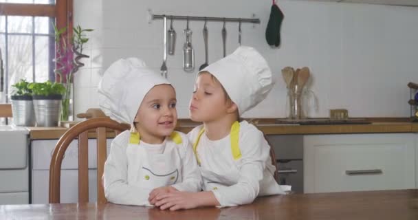 Portrait Two Sisters Kitchen Dressed Professional Chefs Who Smile Kisses — Stock Video