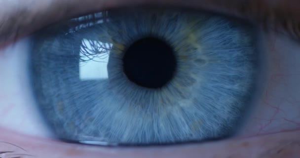 宏观蓝眼睛与扩张的瞳孔 对现实的清晰看法 方法和深度清洁的概念 以及对眼睛健康的关注 — 图库视频影像
