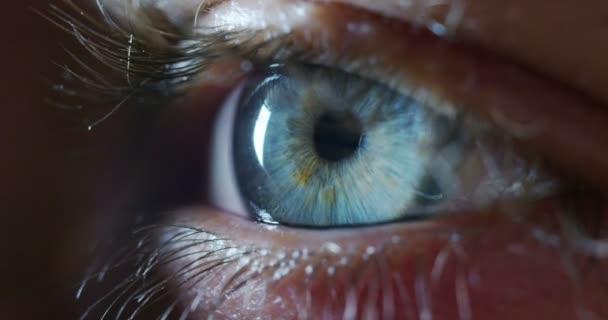 Macro Eye Aplicación Gráfica Futurista Resolución Ser Humano Visión Futurista — Vídeo de stock