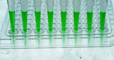 Fütüristik bir laboratuvarda bir bilim adamı bir pipet ile Dna ve test tüpleri kavramı araştırma Biyokimya üstün teknoloji augmented gerçeklik olarak ayıklamak için renkli bir sıvı inceler.