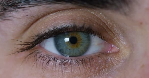 Macro Oeil Bleu Parfait Dans Environnement Stérile Vision Parfaite Dans — Video