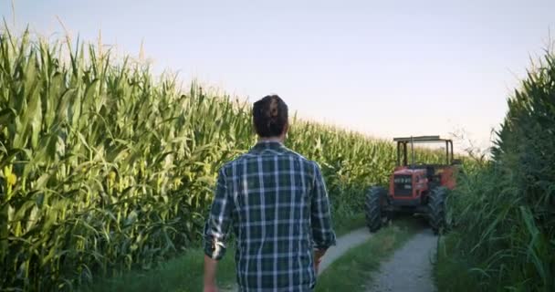 Vídeo Câmera Lenta Agricultor Caminhando Plantação Milho Com Trator — Vídeo de Stock