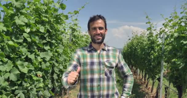 農夫の肖像カメラ ルックスと葡萄畑 緑の背景のチェックにコンセプト生態学 ワイン バイオ製品 テスト 天然物 プロ農家を緩和します — ストック動画