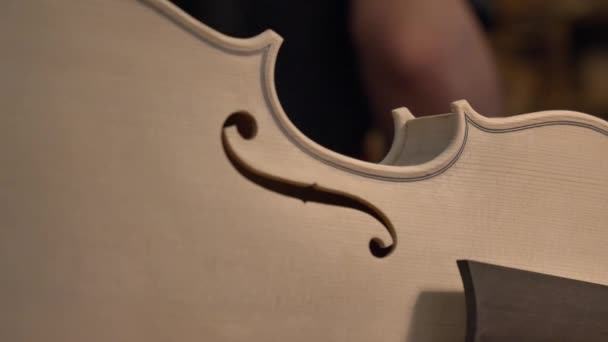 Professional Violin Master Makes Violin His Own Hands Uses Clean — Stock Video