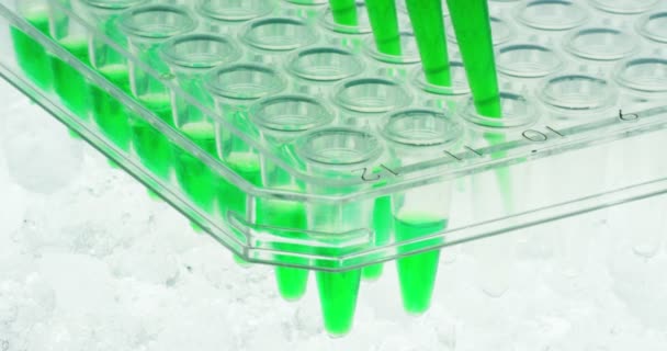 未来の実験室でピペットと科学者の分析 Dna と試験管コンセプト研究生化学没入型技術拡張現実の分子を抽出する着色液 — ストック動画