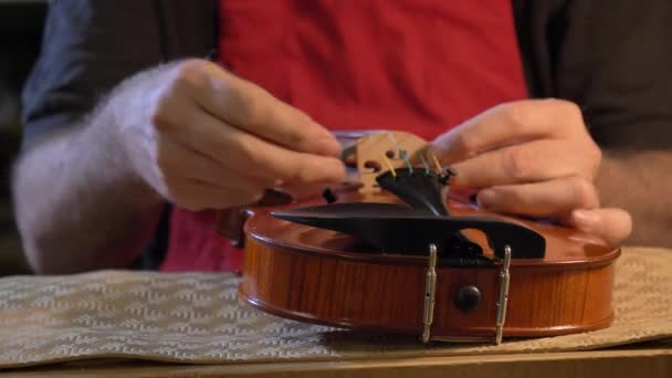 Maestro Violino Professionista Violino Con Proprie Mani Utilizza Abete Rosso — Video Stock