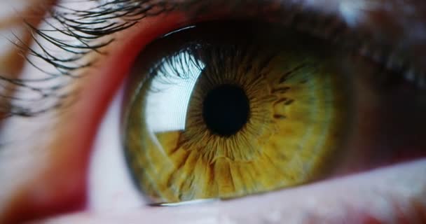 Macro Eye Resolução Implementação Gráfica Futurista Ser Humano Visão Futurista — Vídeo de Stock