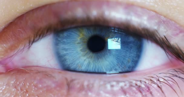 Macroojo Azul Con Pupila Dilatada Concepto Visión Limpia Clara Realidad — Vídeo de stock