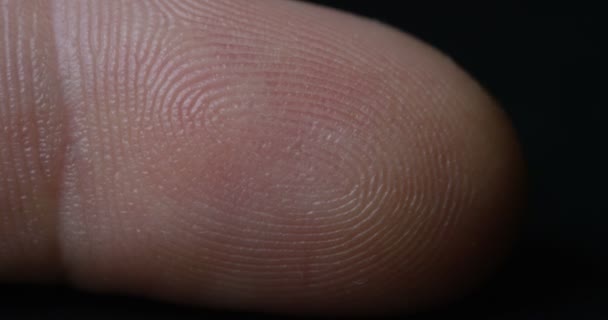 Elaborazione Digitale Futuristica Dello Scanner Impronte Digitali Biometriche Concetto Sorveglianza — Video Stock