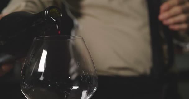 スローモーションでガラスのイタリアの白ワインを注いでのブドウ畑のソムリエ — ストック動画