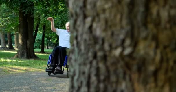 Video Lekfull Vårdgivare Sjuksköterska Med Pensionär Man Rullstol — Stockvideo