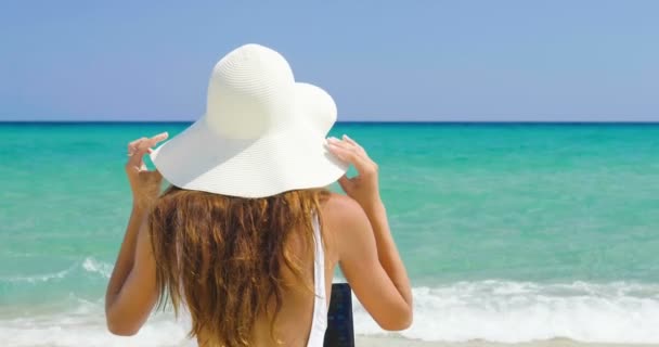 Vidéo Ralenti Vue Arrière Femme Assise Sur Plage Utilisant Ordinateur — Video