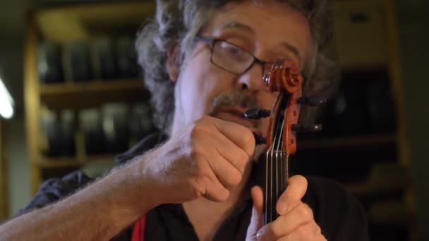 Professionele Viool Master Maakt Een Viool Met Zijn Eigen Handen — Stockvideo