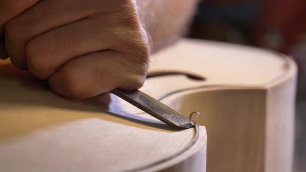 Maître Violon Professionnel Fait Violon Ses Propres Mains Utilise Arbre — Video