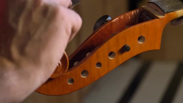 Maestro Violino Professionista Violino Con Proprie Mani Utilizza Abete Rosso — Video Stock