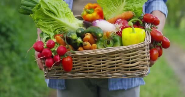 一个快乐的年轻农民 一篮子里拿着新鲜蔬菜的画像 大自然的生物 生物产品 生物生态学 增长了自己的双手 素食主义者 沙拉健康概念的背景上 — 图库视频影像