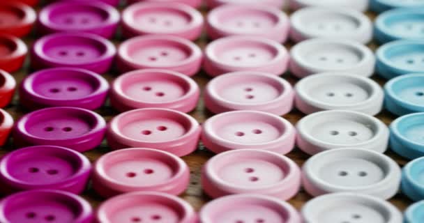 Roundup Των Πολύχρωμο Couture Κουμπιά Κουμπιά Όλων Των Χρωμάτων Ράβω — Αρχείο Βίντεο