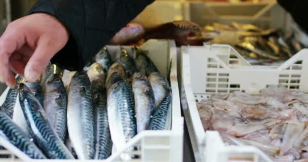 Ein Fischhändler Zeigt Den Frischen Fisch Auf Dem Fischmarkt Der — Stockvideo