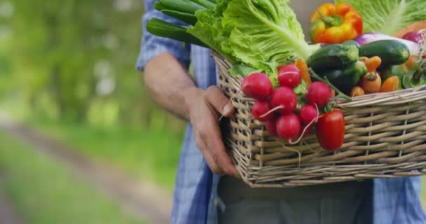 一个快乐的年轻农民 一篮子里拿着新鲜蔬菜的画像 大自然的生物 生物产品 生物生态学 增长了自己的双手 素食主义者 沙拉健康概念的背景上 — 图库视频影像