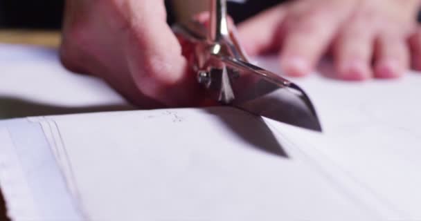 一个裁缝裁剪高品质的面料白色 在你缝制之前 做一件高级时尚的衣服 女裁缝用专业的剪刀 — 图库视频影像