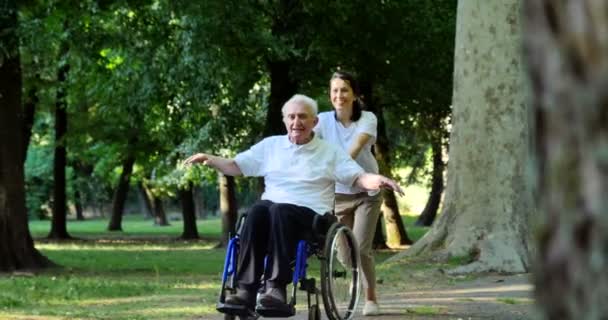 夏の公園で楽しんでいる車椅子の年金受給者の男性と介護者看護師のビデオ — ストック動画