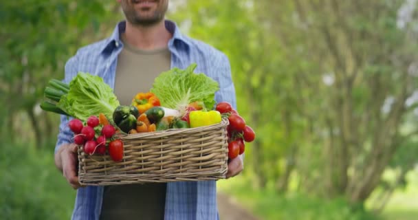 Video Caucasian Farmer Man Countryside Showing Basket Harvest Vegetables — Stock Video