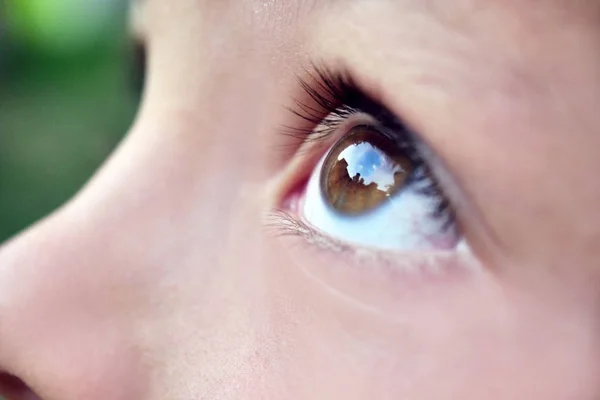 Zbliżenie Małe Oczy Dziewczyna Kid Patrząc Niebo Ogrodem Tle Koncepcja — Zdjęcie stockowe