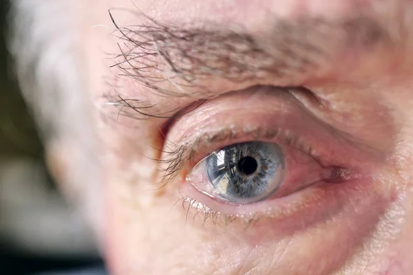 Macro shot of a blue eye of an elderly gentleman looking into the camera. Concept of: life, eyes, optic and care for older people.