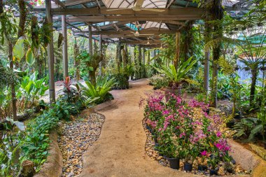 Orkide Bahçe Manzaralı Kuala Lumpur, Malezya