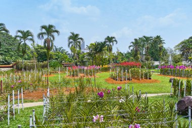 Orkide Bahçe Manzaralı Kuala Lumpur, Malezya