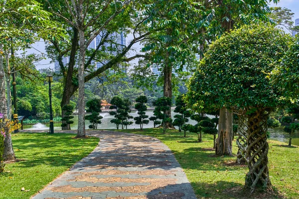 Jardin Botanique Perdana Ficus Microcarpa Vue Kuala Lumpur Malaisie — Photo