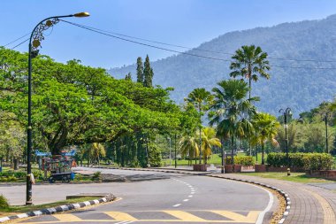 Taiping Lake Gardens veya Taman Tasik, Malezya boyunca uzun dallar ile eski ağaç