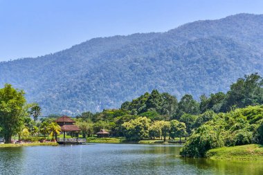 Güzel Taiping Lake Gardens veya Taman Tasik, Malezya