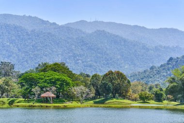 Güzel Taiping Lake Gardens veya Taman Tasik, Malezya