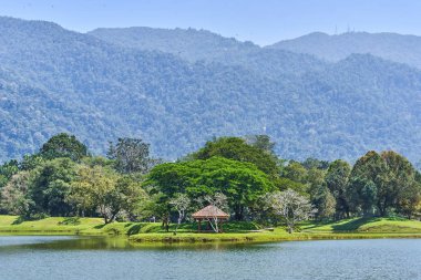 Güzel Taiping Lake Gardens veya Taman Tasik, Malezya