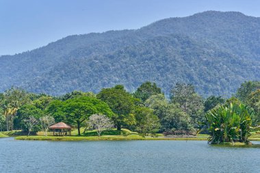 Güzel Taiping Lake Gardens veya Taman Tasik, Malezya