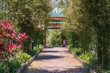 Güzel Taiping Lake Gardens oyuk ya da Taman Tasik, Malezya