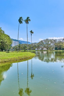 Güzel Taiping Lake Gardens veya Taman Tasik, Malezya