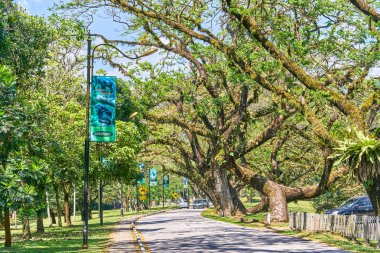 TAIPING, MALAYSIA - FEBRUARY 12, 2018: Beautiful Taiping Lake Gardens road or Taman Tasik