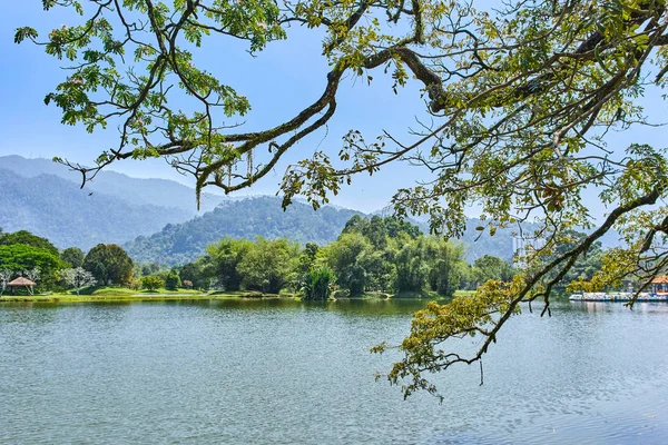 Güzel Taiping Lake Gardens veya Taman Tasik, Malezya