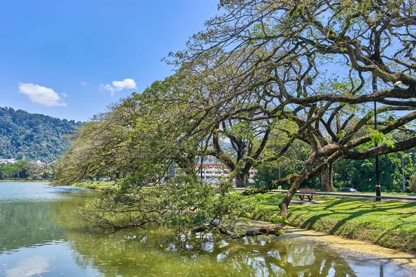 Güzel Taiping Lake Gardens veya Taman Tasik, Malezya