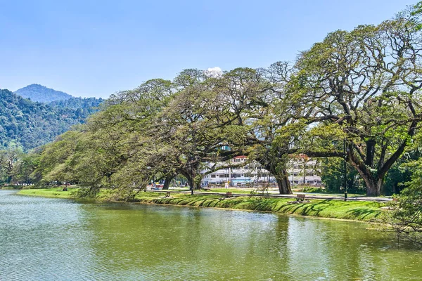 Wunderschöne Taiping Seegärten Oder Taman Tasik Malaysien — Stockfoto