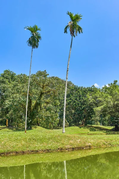Güzel Taiping Lake Gardens veya Taman Tasik, Malezya